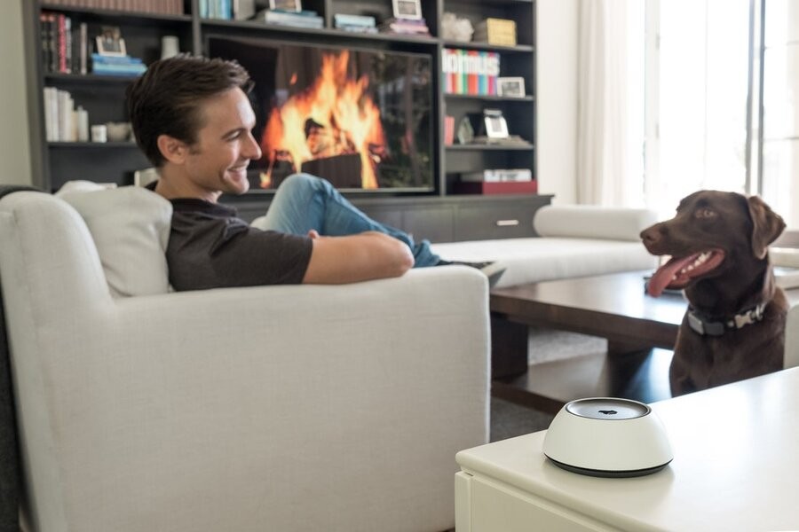 A man and his dog sitting in their living room with a Josh.ai voice control device near them.
