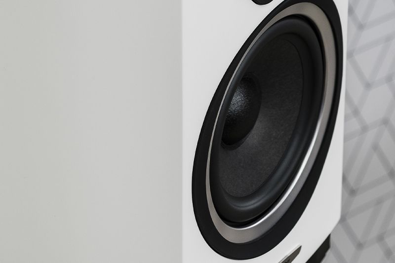 sonetto II speaker detail